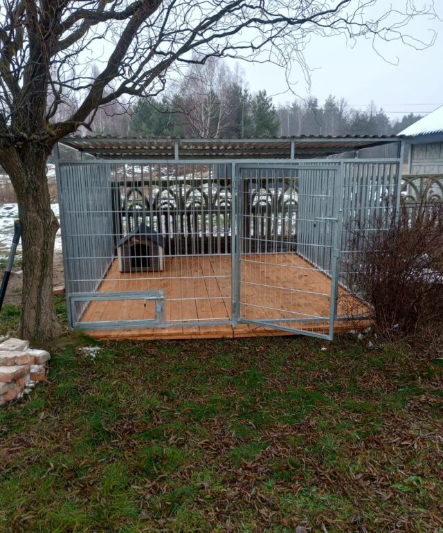 IMG-20260128-WA0011 IMG-20260128-WA0011